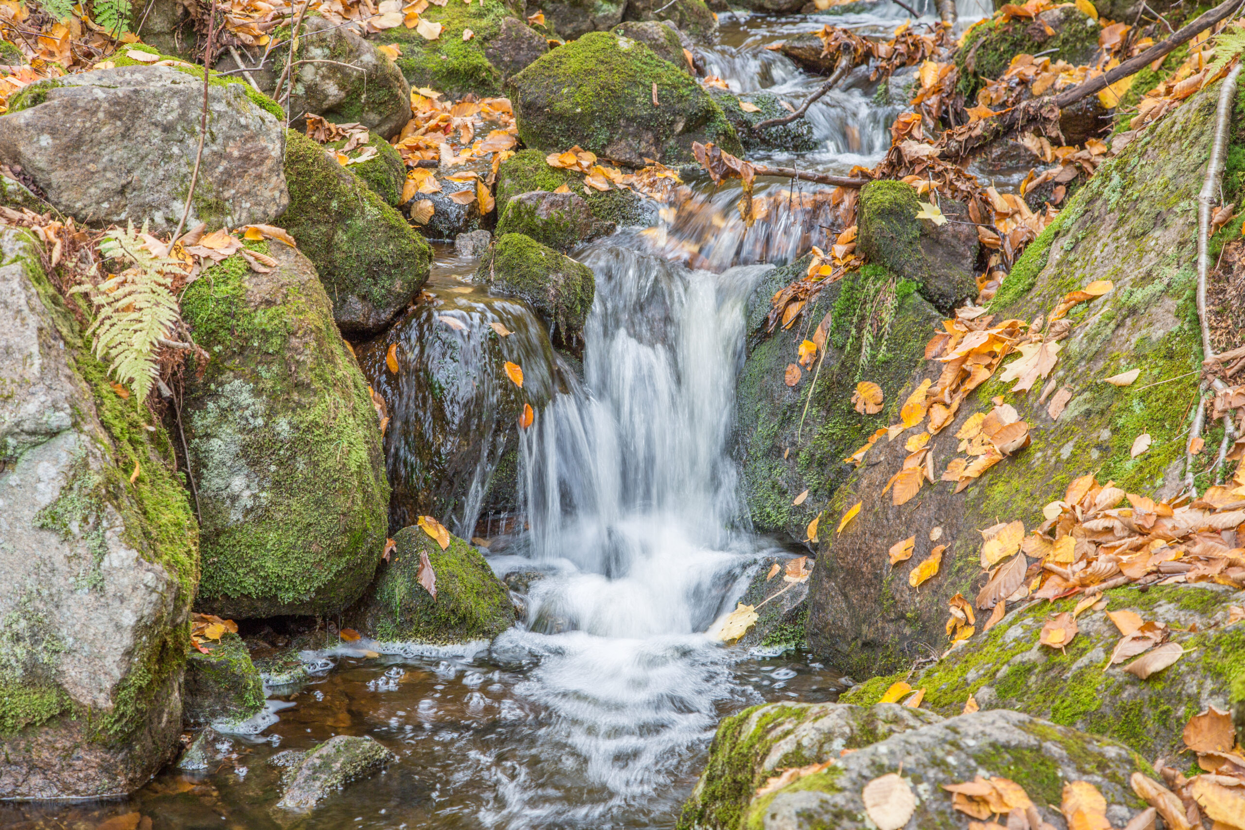 Saguenay, Canada Nov 2023 - National Park